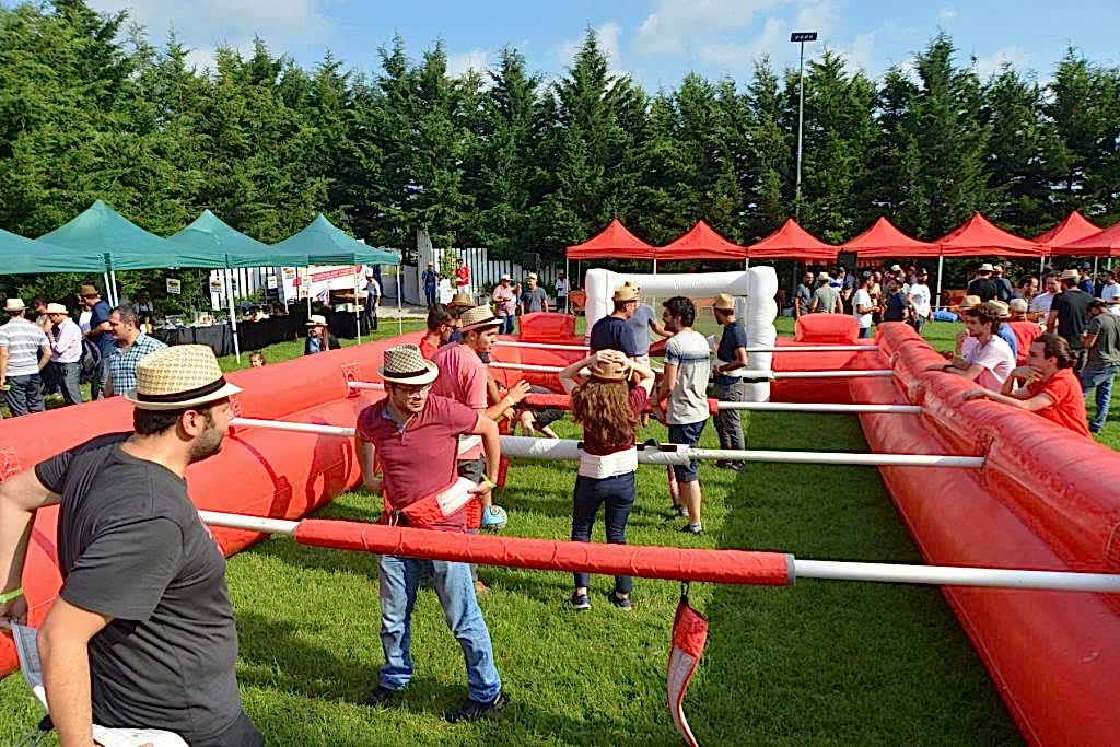 Aktivite Organizasyonu