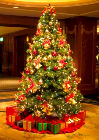 Hediye Organizasyonu